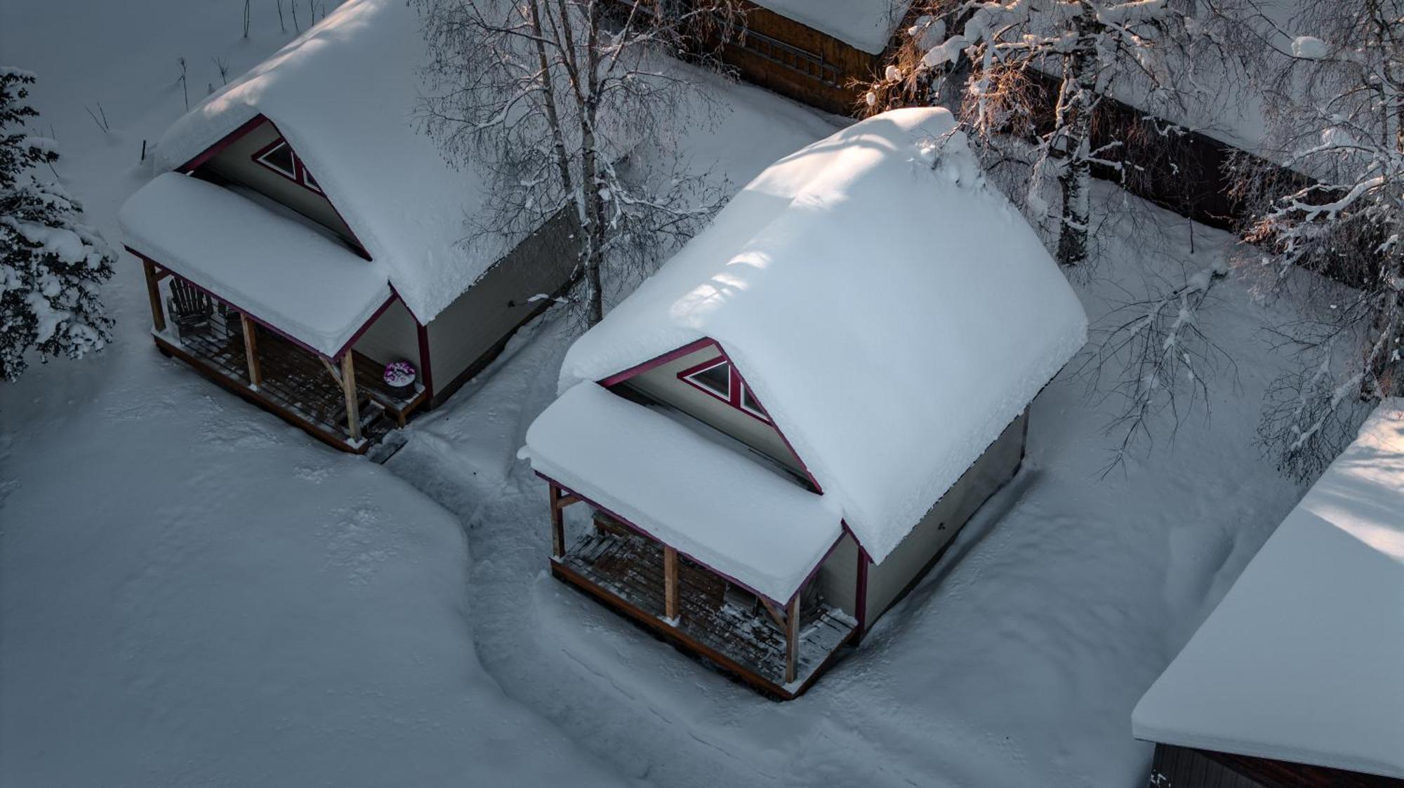 Downtown Talkeetna Cabin! Susitna Cabin Eksteriør bilde