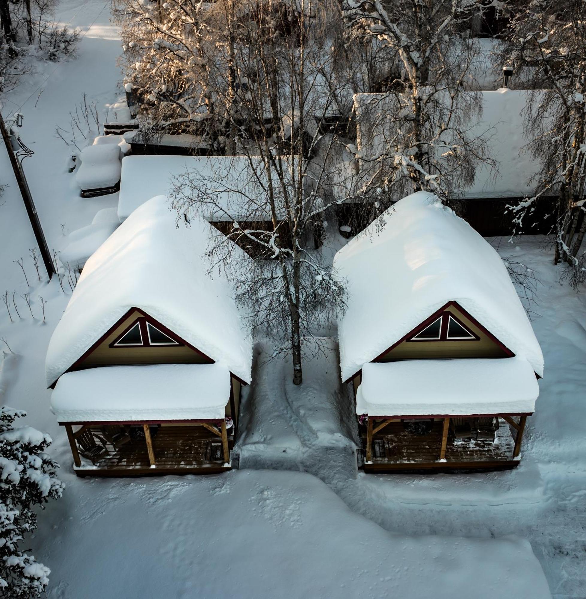 Downtown Talkeetna Cabin! Susitna Cabin Eksteriør bilde